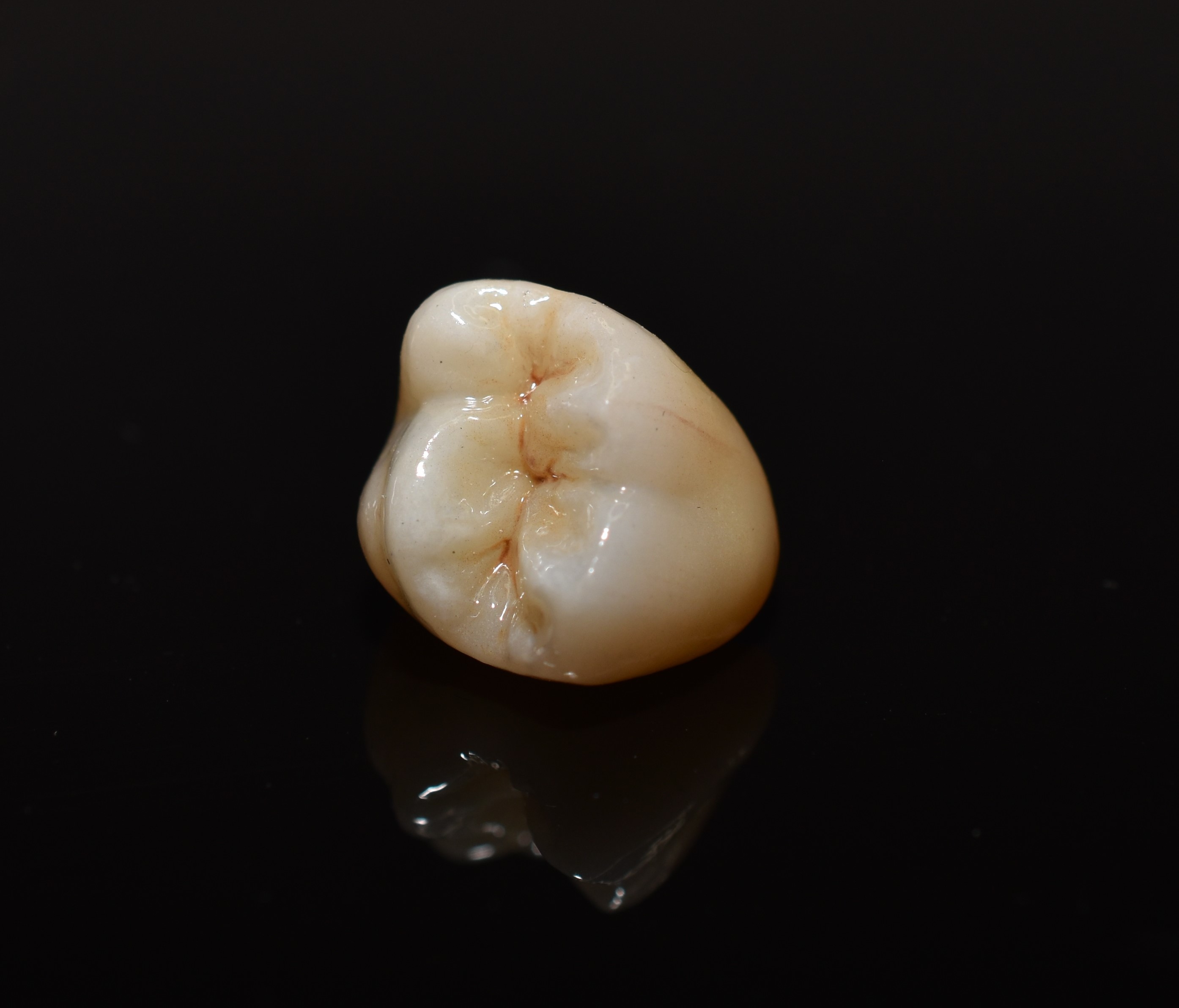 Modern Dental Lab Equipment